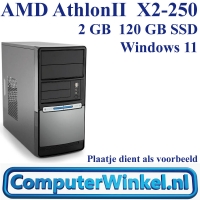 YY41