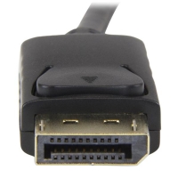 Display Port