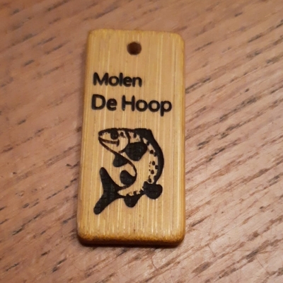 MOLEN-HOOP-VISJE