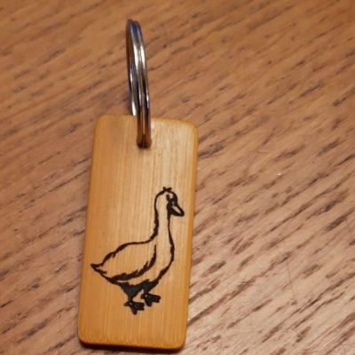 GANS-01