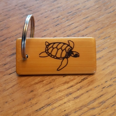 SCHILDPAD-02